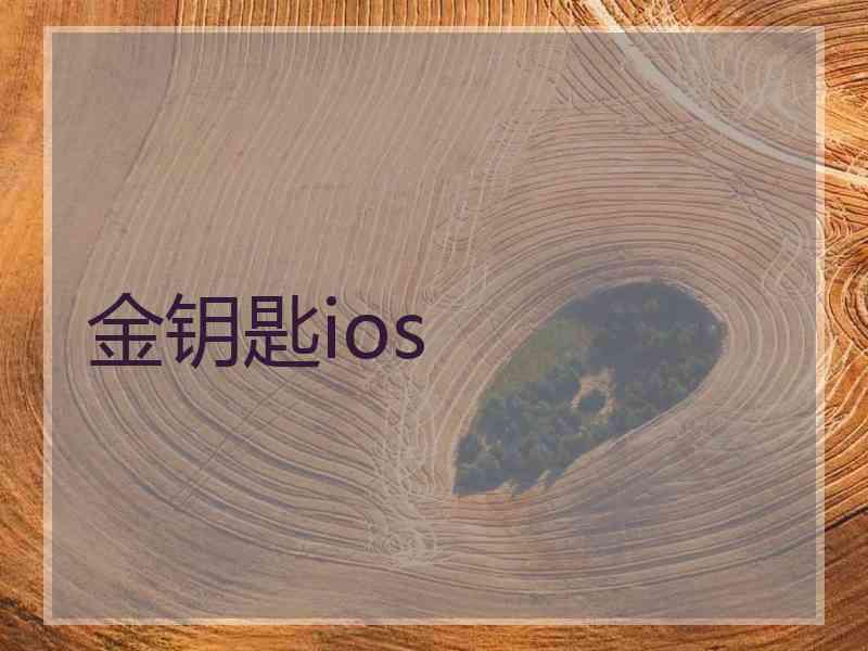 金钥匙ios