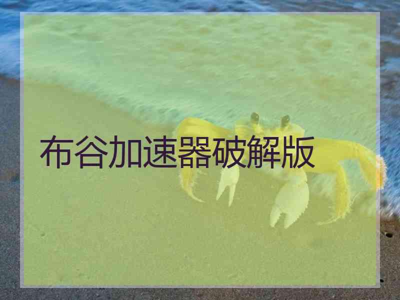 布谷加速器破解版