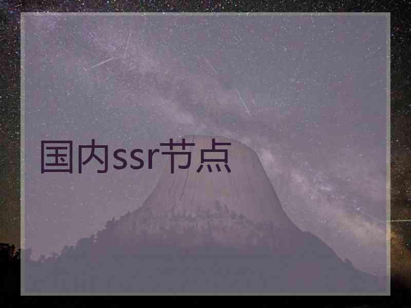 国内ssr节点