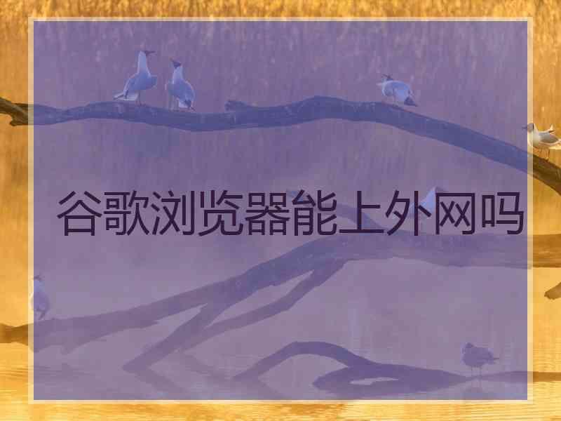 谷歌浏览器能上外网吗
