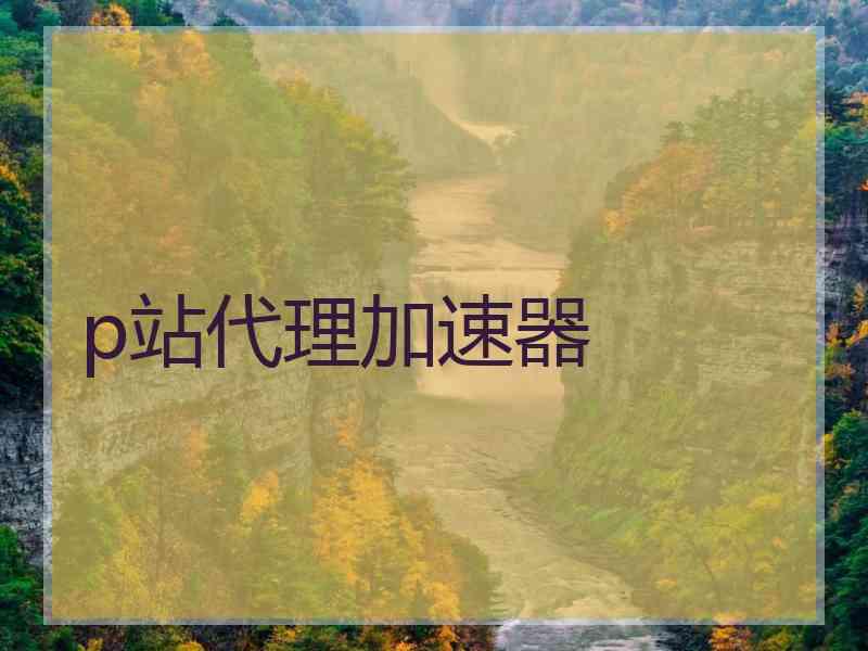 p站代理加速器