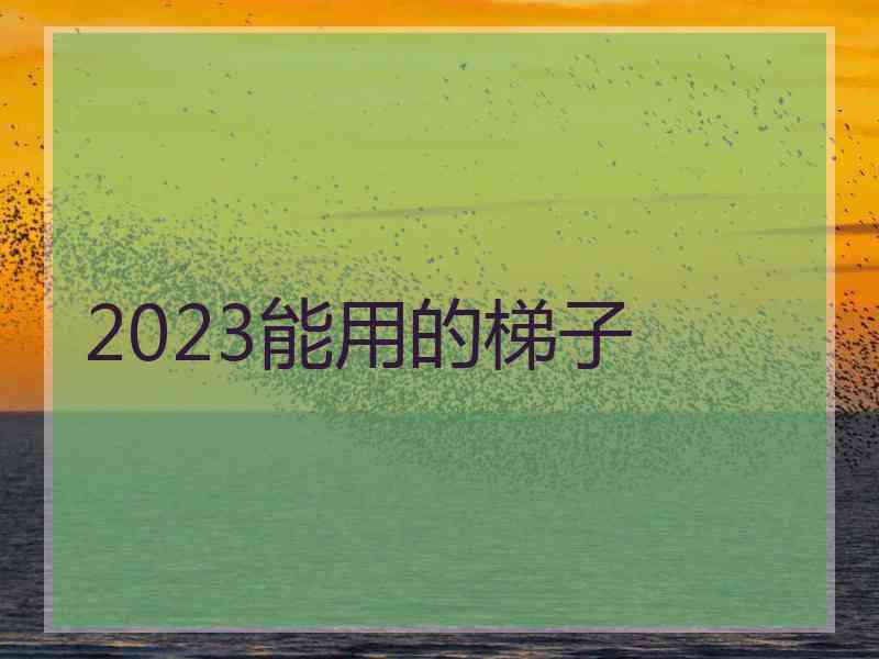 2023能用的梯子